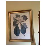 21 1/2“ x 27“ gold framed magnolia picture. Magnolia number 62.