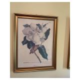 21 1/2” x 27” gold framed magnolia picture -number 33