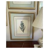 23" x 27” Gold framed print by Pierre Joseph Redoute’-  Hyacinth