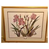 Framed Print of “Iris” by Varian Mace