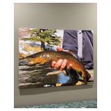 Beautiful photo on canvas of featuring an angler with a nice size brown trout - 48 x 35-3/4