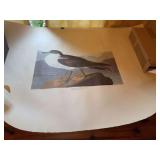 Richard Sloan print plate number 57 Wandering Shearwater Puffin