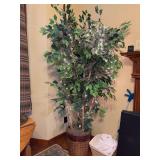 Very tall artificial ficus tree with fairy lights