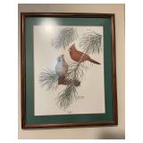 20 1/2 x 24 1/2 signed Cardinal print by Harry E Antis -Avian series plate 1