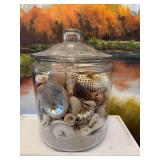 Large jar of very pretty shells. 8” x 10”