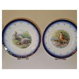 Two Antique Saxon China Guineas and Snipes on  cobalt blue and gold-gilded scroll border plates. 8.25-in diameter. Both have crazing.