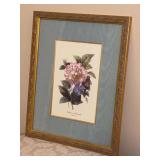 Vintage P.J. Redoute Botanical Print featuring a gilt frame and silk-like matting - 15-1/2 x 19-1/2