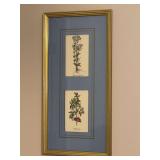 Very pretty double stacked botanical print in gold tone frame and blue matting - 11-1/4 x 22-1/2