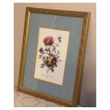 Vintage P.J. Redoute Botanical Print featuring a gilt frame and silk-like matting - 15-1/2 x 19-1/2