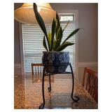 Around iron plant stand with blue & white planter and life Mother-in-Law’s tongue plant - 16-1/2” tall to top of planter