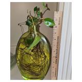 Oval vase with pothos plant.