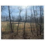 Old Rocky Trail Lot 6 - .23 Acres