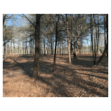 Sunshine Trail Lot 14 - .27 Acres