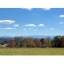 Four Estate Size Tracts - Sulphur Springs Community in Jonesborough, TN