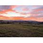89 Acres in Thirteen Tracts - Bluff City/ Piney Flats, TN