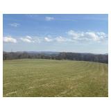 58 Acres in 8 Tracts - Absolute Auction