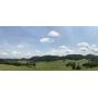 Auction - 193 Acres in 8 Tracts - House, Several Barns, Creek & Pond - Limestone, TN