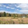 8.95 Acres- House - Barn - In Beautiful Shady Valley, TN