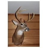 8pt Buck mount; as is