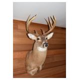 10pt Buck mount; as is