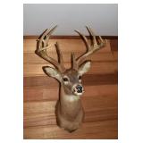 12pt Buck mount; as is