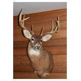 10pt Buck mount; as is