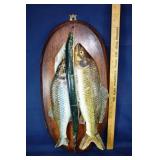 Early painted ceramic stringer of fish mounted on