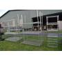 20 June Sringwood Farm Discovery Live Auction