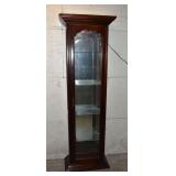 Cherry finish single door illuminated display cabi