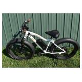 2016 RAD Power Bikes RadRover fat tire model, 189