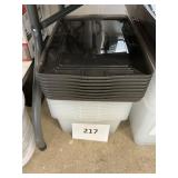 8ct Clear toes- gray lids