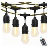 Westinghouse 48ft string lights