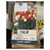 Tulip longstemmed blend variety 3-40ct