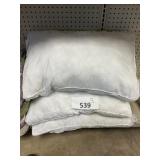 Coop 3 ct Pillows