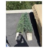 2 Artificial decroative trees