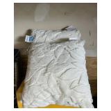 HGTV 2 pack pillows 21inx21in