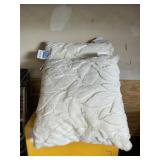 HGTV 2 pack pillows 21inx21in
