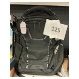 Swiss Gear back pack