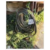 Garden hose
