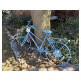 Blue yard bike
