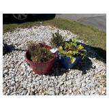 2-Flower pots lot