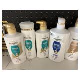 Pantene shampoo  & conditioner 5 bottles