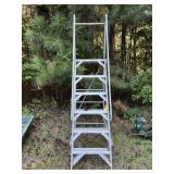 Platform Ladder