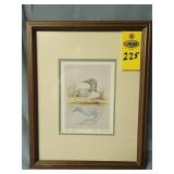The Loon Signed Duck Print, Sue Coleman