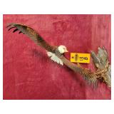 American Eagle Gallery Statue