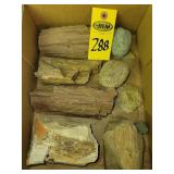 Petrified Wood & Coprolite ( Dinosaur Feces)