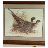 Ring Necked Pheasants Print Signed By