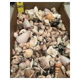 Box Of Sea Shells