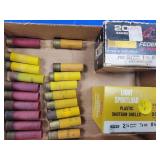 69 Rounds 20 Ga Ammo