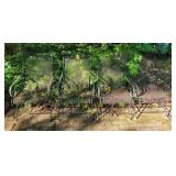 4 Metal Lawn Chairs